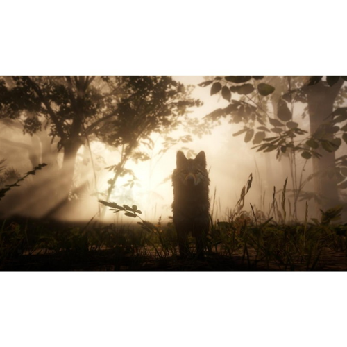 Red Dead Redemption II (2) Xbox One Es Red Dead Redemption II (2) Xbox One Es